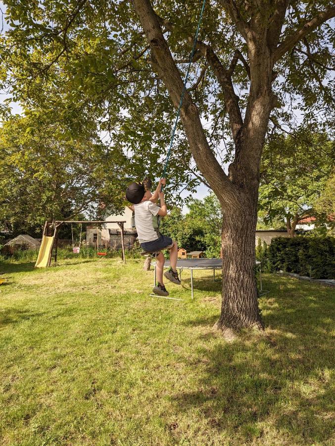 Ferienhaus Lausitz Lauta Eksteriør billede